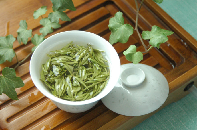 安吉白茶