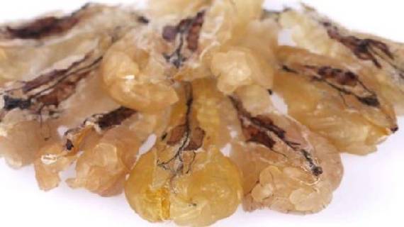 吉林长白山“中国林蛙油”