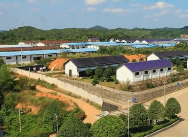 湖南庆泰花炮集团有限公司