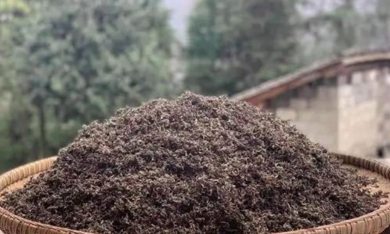 巫溪老鹰茶